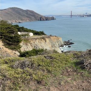 Meet your Posher, Jasper